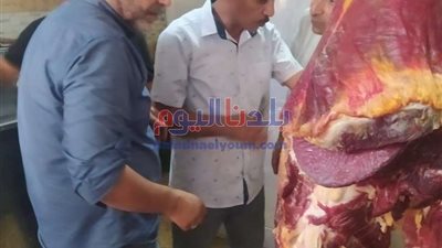 بيطري المنوفية يشن حملات موسعة لمواجهة المخالفين ومروجى اللحوم الفاسدة