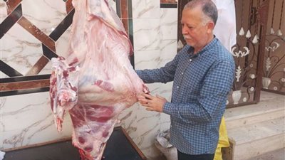 ضبط لحوم خارج السلخانة ومخابز مخالفة فى حملة تموينية بالدقهلية