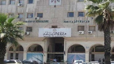 وكيل زراعة القليوبية: متوسط إنتاج فدان القمح في العام الحالي 28 أردب