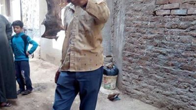 بيطري القليوبية: القضاء على 60% من خفافيش الحزانية