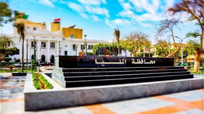 انتظام توريد القمح للصوامع والشون في المنيا بإجمالي 1054 طن