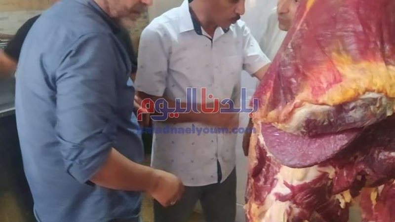 بلدنا اليوم