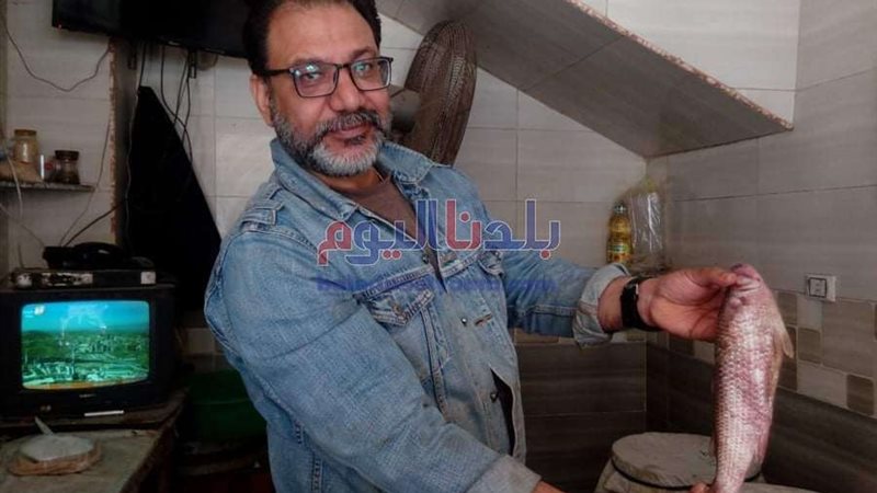 بلدنا اليوم