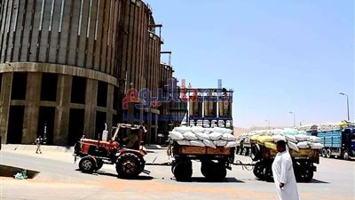 محافظ سوهاج: توريد 731 طن قمح منذ بدء الموسم دون معوقات