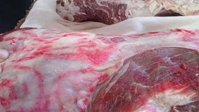 بيطرى المنوفية: ضبط 44 طن لحوم ودواجن وأسماك غير صالحة للاستهلاك الآدمى قبل طرحها على المواطنين