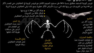 تطهير قرية بشبين القناطر من الخفافيش