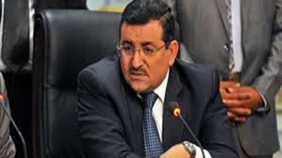 هيكل: عائد حفل يوم التراث يخصص لدعم المستشفيات والمستلزمات الطبية