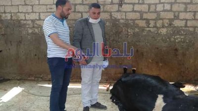 ضبط طن ونصف أسماك مملحة غير صالحة للاستخدام بالبحيرة