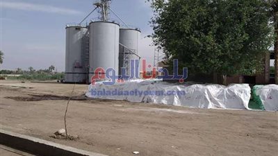 محافظ المنيا يتابع انتظام توريد القمح للصوامع والشون بإجمالي 1658 طن
