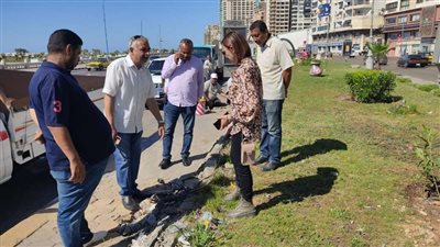 نائب محافظ الإسكندرية تتفقد أعمال رفع كفاءة الحدائق العامة