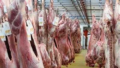 مجاز القاهرة تفتح أبوابها مجانا أمام أضاحى المواطنين خلال ساعات