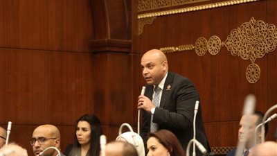 برلماني: تفعيل لجنة العفو الرئاسي فرصة لبداية جديدة