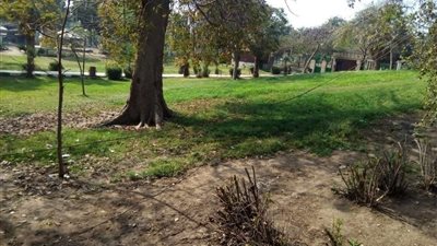 حدائق القناطر خالية بدون زائرين في شم النسيم