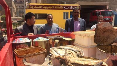 ضبط نصف طن أسماك مملحة غير صالحة وتحرير 74 محضر تمويني بسوهاج