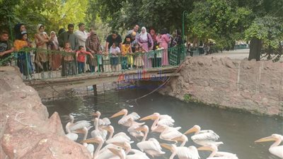 تبدأ بـ 5 جنيهات.. أسعار تذاكر الحدائق العامة ومواعيدها خلال العيد