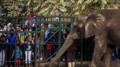 حديقة الحيوان تشهد إقبالا كبيرا في ثاني أيام عيد الأضحي المبارك