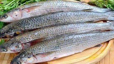 أستاذ علاج سموم يكشف مفاجأة بشأن تخزين الفسيخ