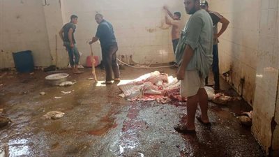 رئيس مدينة الشهداء يتابع تطبيق الإجراءات الصحية للمذابح