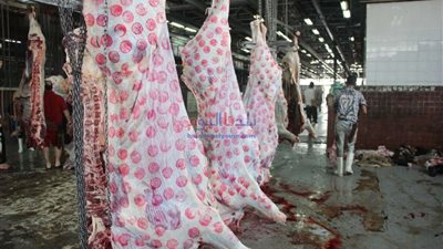 إبراهيم محمد: ذبح 486 أضحية بالمجازر المعتمدة بالشرقية