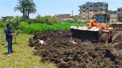 إزالة 51 حالة تعد على أراضي زراعية وإيقاف حالات بناء بدون ترخيص في بني سويف