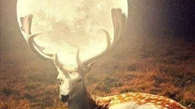 ما هو قمر الغزال الذي سيضئ السماء بشكل مختلف غدًا ؟.. تعرف على أغرب ظاهرة فلكية