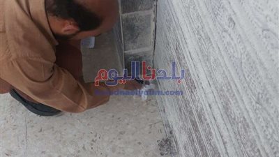 غرامات مالية ضد 7 محال تجارية لم تلتزم بقرار الحظر بطوخ