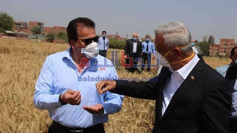 بلدنا اليوم