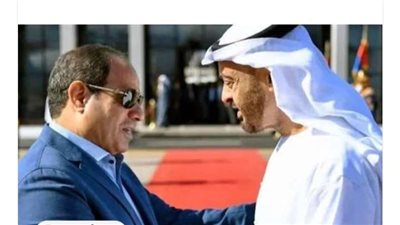السيسي يشيد بالرؤية الثاقبة للشيخ محمد بن زايد: تجلت في مواقف عديدة