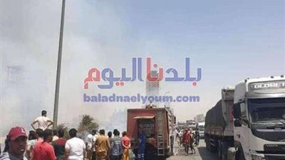 ننشر أول صور من حريق مخزن أخشاب بالمرج