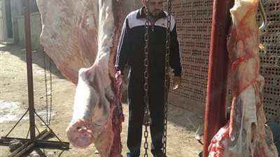 مبادرة لتوزيع اللحوم على الفقراء بالدقهلية