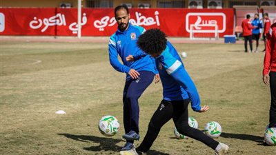 رضا عبد العال: 