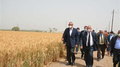 محافظ القليوبية يفتتح إحدى الحقول الاسترشادية للقمح بمنشأة بنها
