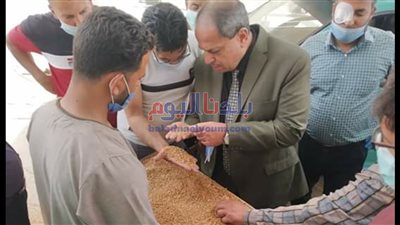 وكيل تموين المنيا يتفقد لجان توريد القمح المحلي (صور)