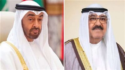 رئيس الإمارات وولي عهد الكويت يبحثان سبل تطوير العلاقات بين البلدين