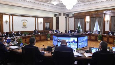 غدا جلسة بمعلومات الوزراء لمناقشة مستهدفات وثيقة ملكية الدولة بصناعات الجلود