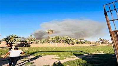 السيطرة على حريق هائل شب في مزرعة للنخيل في الأقصر