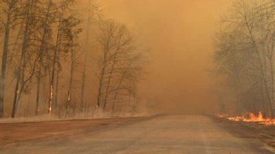 بخلاف كورونا.. علماء: الأمطار الغزيرة قد تتسبب في كارثة جديدة تطيح بالعالم