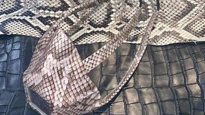 هل توفر كمامات جلد الثعابين الحماية من 