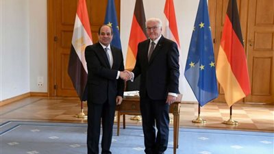 السيسي والمستشار الألماني يتفقان على أهمية الوصول لاتفاق ملزم بشأن سد النهضة