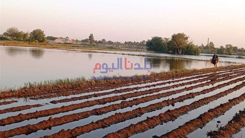 بلدنا اليوم