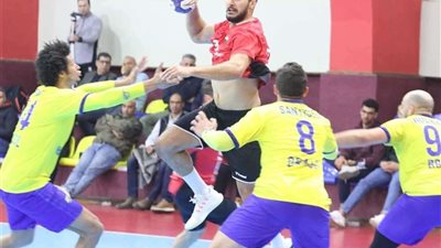 عضو لجنة الإحصاء بأمم إفريقيا لليد: المصريين لن يقبلوا بأقل من 