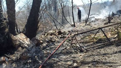 تونس.. حريق ضخم بالجبل وآخر بولاية نابل