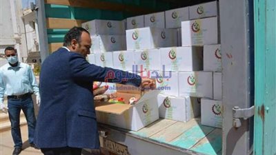 تحرير 10 محاضر وضبط 50 كرتونة تمر غير صالحة بالمنيا