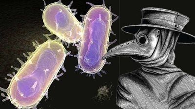 قضى علي 50 مليون شخص.. أعراض مرض الموت الأسود وطرق العدوى