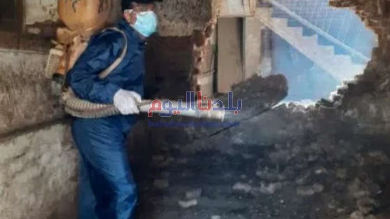 بلدنا اليوم
