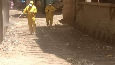 تكثيف أعمال التطهير والتعقيم بقرى كفر بلمشط وبرهيم بالمنوفية