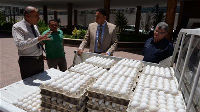 بسعر 62 جنيه.. زراعة الدقهلية تطرح كميات كبيرة من البيض بمنافذها