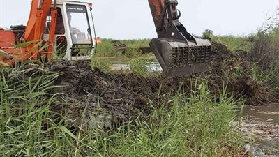 الزراعة تواصل إزالة التعديات على بحيرة المنزلة