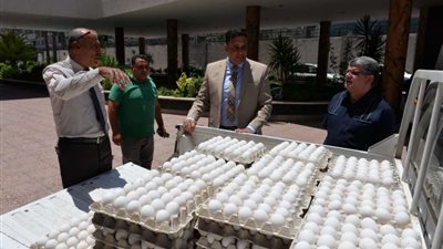 غرفة المنيا تبحث مع المنتجين اسباب ارتفاع أسعار البيض