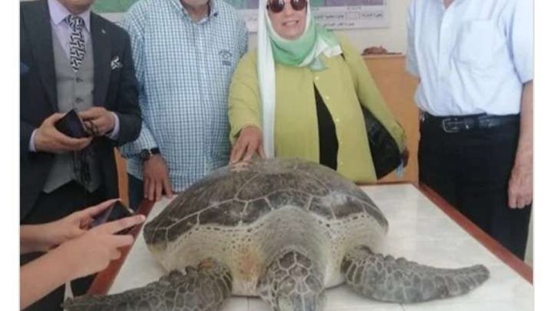 بلدنا اليوم